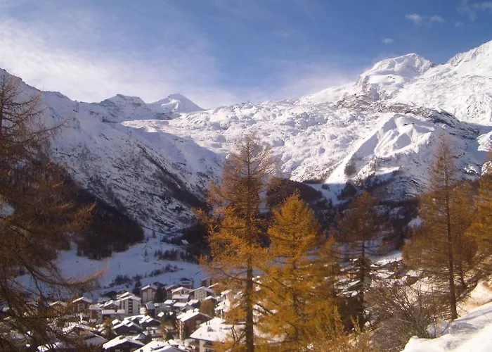 Apartment Ideal Saas-Fee